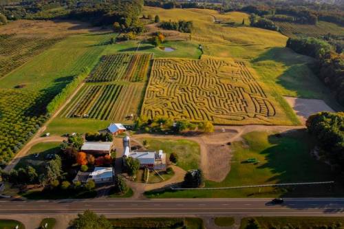 Aerial view of a farm with a corn maze, fields, and a building, surrounded by lush greenery and a road nearby.
