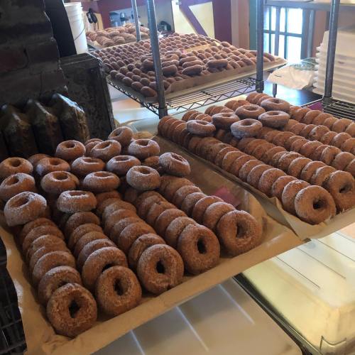 A display of freshly made donuts arranged on trays, showcasing various shapes and sizes.