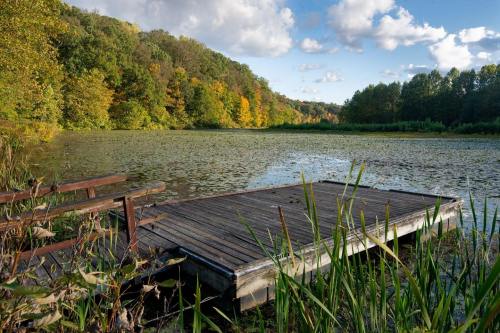 A wooden dock extends into a serene pond surrounded by lush trees and colorful autumn foliage under a blue sky.