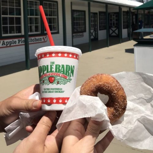 A hand holds a cinnamon sugar donut next to a cup with a red straw, both from The Apple Barn.