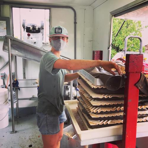 A person wearing a mask and cap stacks trays in a food processing area, surrounded by equipment and natural light.