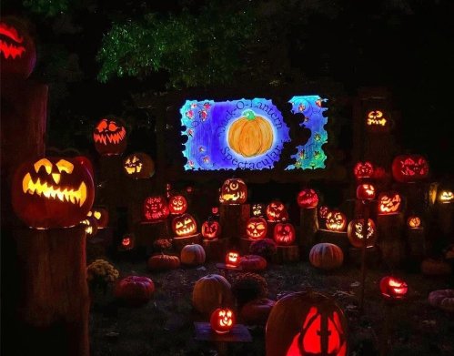 A dark scene filled with creatively carved pumpkins, glowing in various expressions, with a colorful backdrop.
