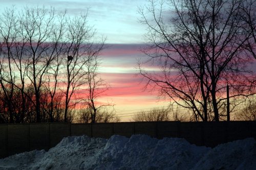 Silhouetted trees against a colorful sunset with pink and purple hues, and a snowbank in the foreground.