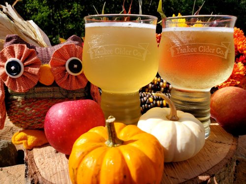 Two glasses of cider beside an owl decoration, apples, and pumpkins, set against a fall-themed background.