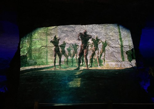 A shadowy projection of figures on a rocky surface, illuminated in green and blue light.