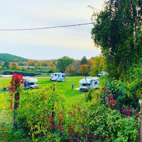 A scenic view of RVs parked in a grassy area surrounded by trees with autumn foliage and a calm landscape in the background.