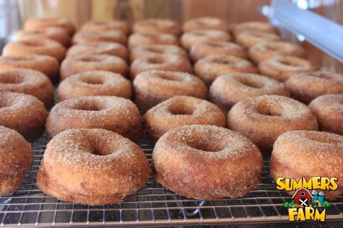A tray of freshly made, cinnamon-sugar coated donuts cooling on a wire rack.