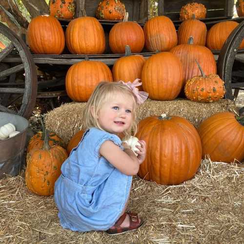 A young child in a blue dress sits among pumpkins, smiling in a rustic setting with hay and wooden crates.