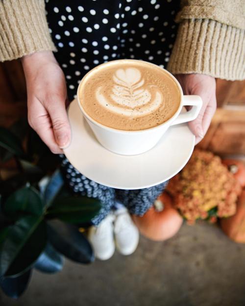 A person holds a latte with a leaf design on top, resting on a white saucer, surrounded by autumn decor.