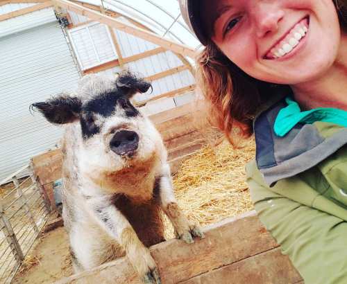 A smiling woman takes a selfie with a friendly pig in a barn setting. Straw is scattered on the ground.