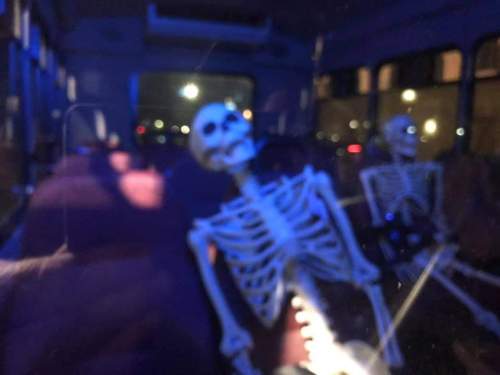 Two skeletons seated on a bus, illuminated by dim blue light, with a nighttime cityscape visible through the windows.