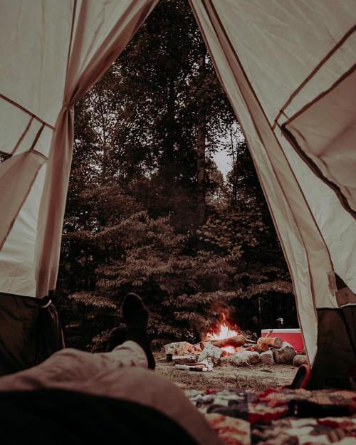 View from inside a tent, showing a campfire and trees outside, with a cozy blanket on the ground.