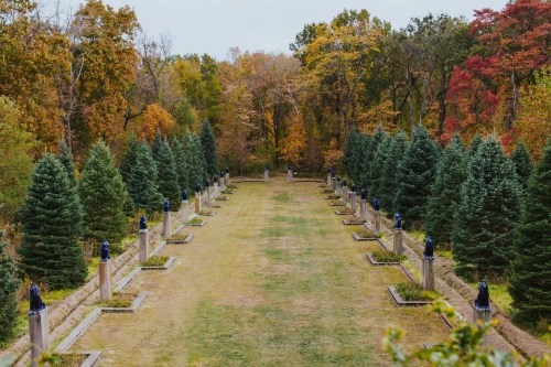 A serene pathway lined with evergreen trees and stone pillars, surrounded by colorful autumn foliage.