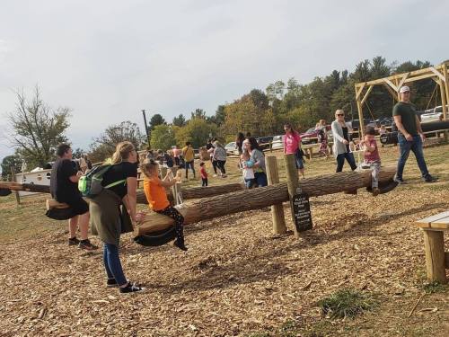 A playground scene with children and adults playing on a log balance beam, surrounded by trees and picnic areas.
