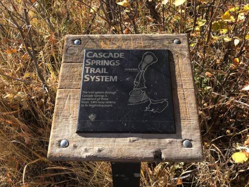 Sign for Cascade Springs Trail System, detailing the trail layout and points of interest, surrounded by autumn foliage.