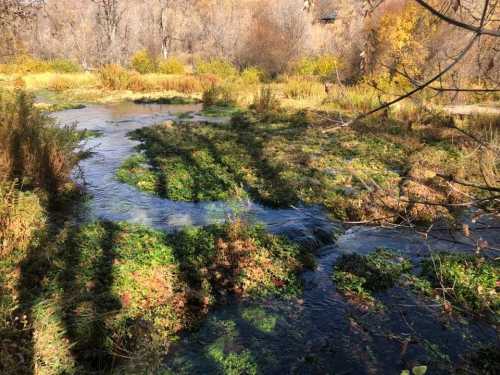 A serene stream flows through a lush, green landscape with autumn foliage and gentle shadows from nearby trees.