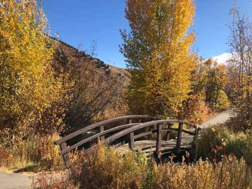 A wooden bridge arches over a path surrounded by vibrant autumn foliage and clear blue skies.