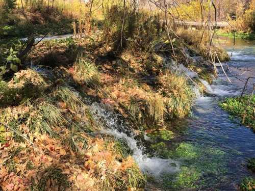 A serene stream flows through a landscape of autumn leaves and greenery, surrounded by trees and gentle slopes.