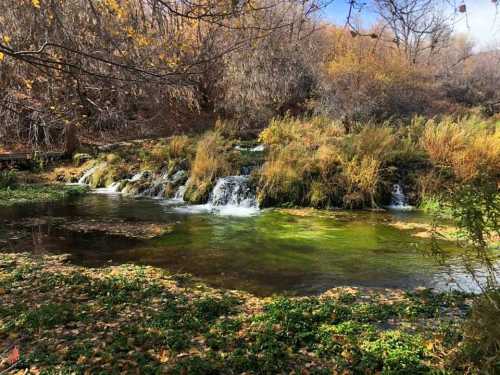 A serene landscape featuring a small waterfall surrounded by lush greenery and autumn foliage.