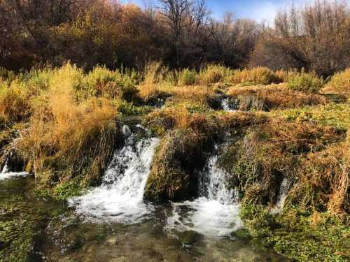 A serene landscape featuring a small waterfall surrounded by lush greenery and autumn foliage.