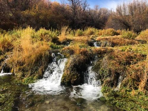 A serene landscape featuring a small waterfall surrounded by lush greenery and autumn foliage.