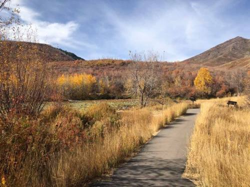 A scenic pathway through golden autumn foliage, surrounded by mountains under a blue sky.
