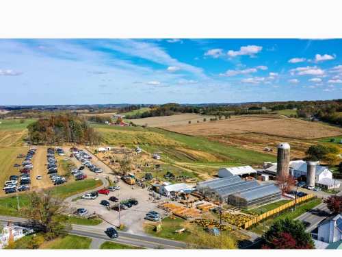 Aerial view of a farm with greenhouses, fields, and parked cars under a blue sky with scattered clouds.