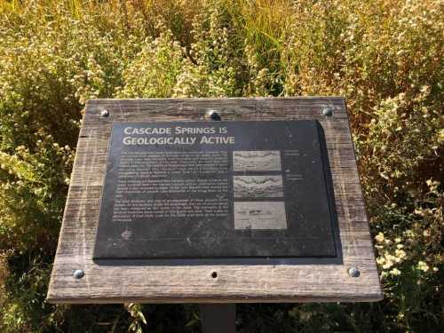 A sign about Cascade Springs, highlighting its geological activity, surrounded by tall grasses and plants.