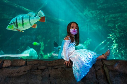 A young girl in a princess dress sits on a rock by an aquarium, with colorful fish swimming in the background.