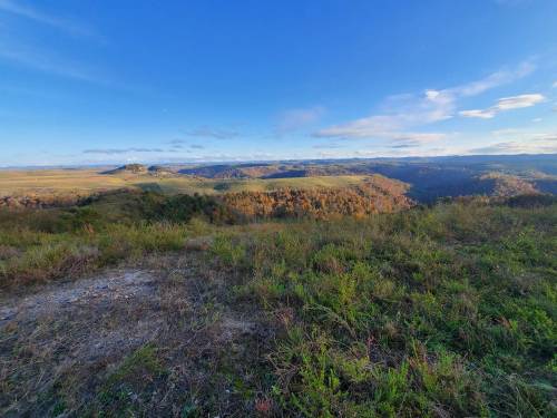 A panoramic view of rolling hills and valleys, showcasing vibrant autumn foliage under a clear blue sky.