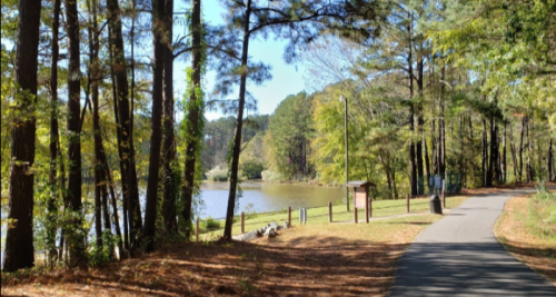 A serene lakeside path surrounded by tall trees and autumn foliage, with a clear blue sky above.