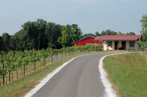 A winding road leads to a charming house and red barn, surrounded by lush vineyards and green trees.
