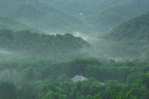 A serene landscape of misty green hills with a small house nestled among the trees.