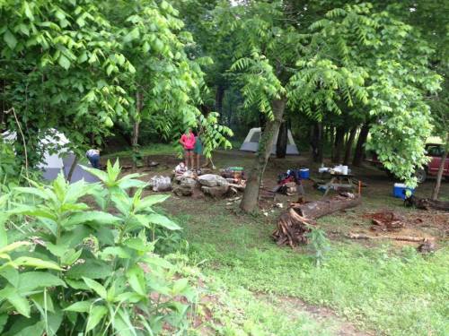 A campsite in a wooded area with tents, a picnic setup, and a person standing near a rock in the background.