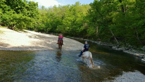 Two riders on horseback crossing a shallow stream surrounded by lush green trees and a rocky riverbank.