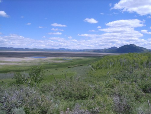 A scenic landscape featuring a vast, open field with mountains in the background under a blue sky with fluffy clouds.