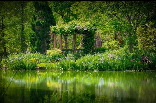 A serene garden scene with a gazebo surrounded by lush greenery and colorful flowers reflected in a calm pond.