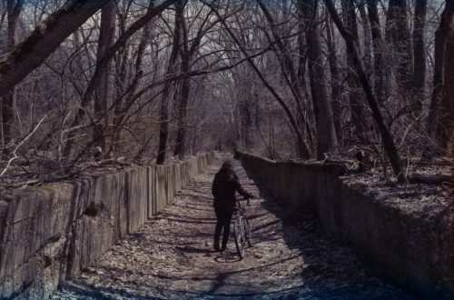 A person walks a bicycle along a narrow, leaf-covered path surrounded by bare trees.