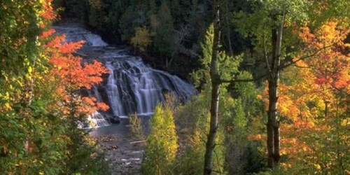 A serene waterfall surrounded by vibrant autumn foliage in a lush forest.