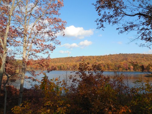 A serene lake surrounded by autumn foliage and trees under a clear blue sky with a few clouds.