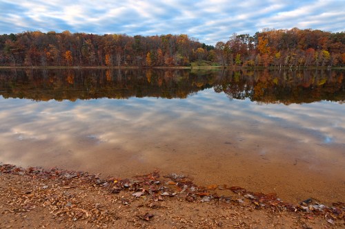 A serene lake reflects colorful autumn trees and a cloudy sky, with a sandy shore lined with fallen leaves.