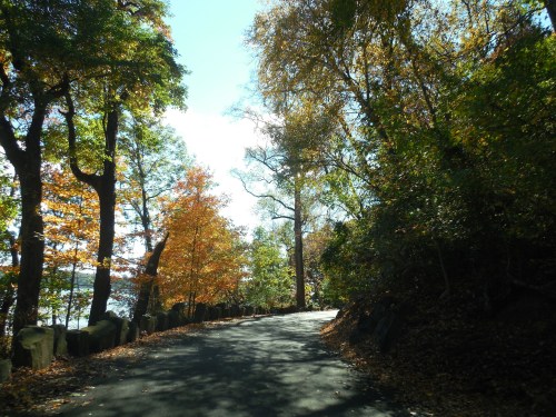 A winding road surrounded by trees with vibrant autumn foliage under a clear blue sky.