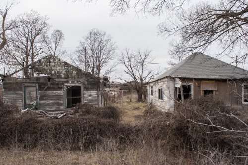 Two dilapidated houses surrounded by overgrown vegetation and bare trees under a cloudy sky.