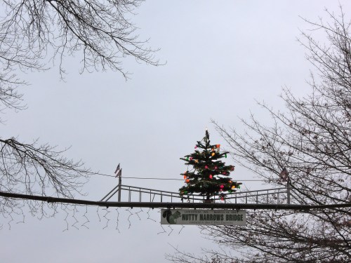 A decorated Christmas tree on a bridge, surrounded by bare branches and a cloudy sky.