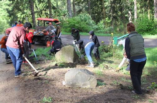 A group of people working together outdoors, using tools to clear and maintain a forested area.
