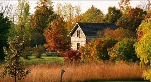 A rustic wooden house surrounded by vibrant autumn foliage and tall grasses in a serene landscape.