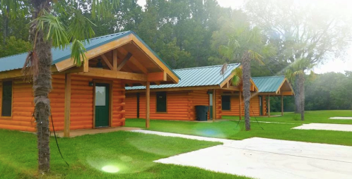 Three log cabins with green doors and metal roofs, surrounded by grass and palm trees under a bright sky.