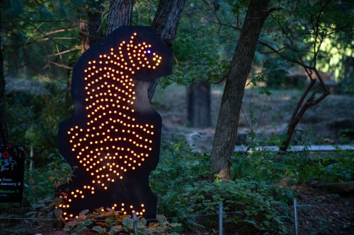 A lit silhouette of a tiger made from lights, surrounded by trees and greenery in a natural setting.