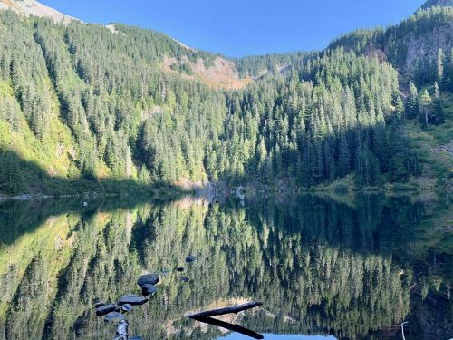 A serene lake surrounded by lush green forests, reflecting the trees and mountains in calm water under a clear blue sky.
