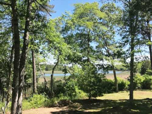 A serene view of a lake surrounded by lush green trees under a clear blue sky.